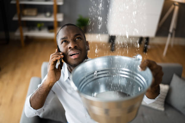 Best 24/7 water damage repair  in Rosemead, CA