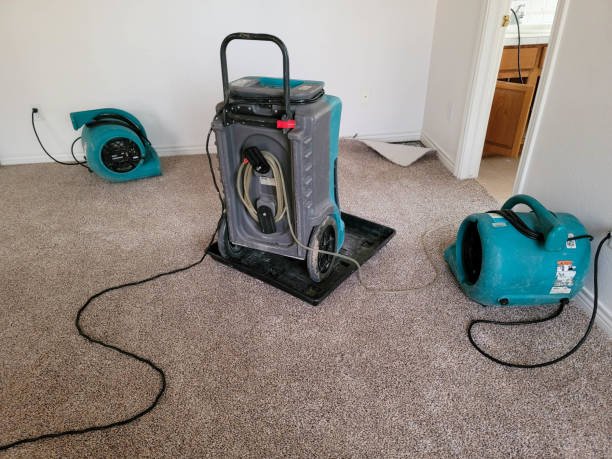 Best Professional water damage repair  in Rosemead, CA