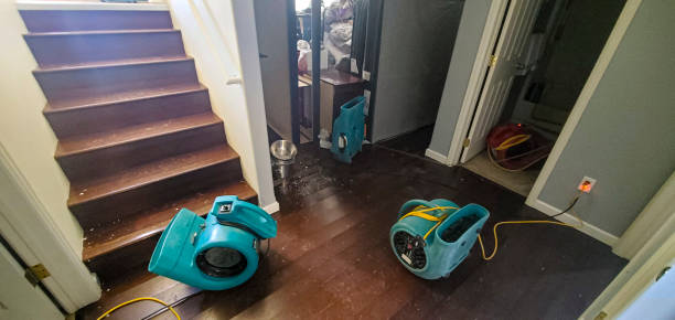 Trusted Rosemead, CA Water damage restoration Experts