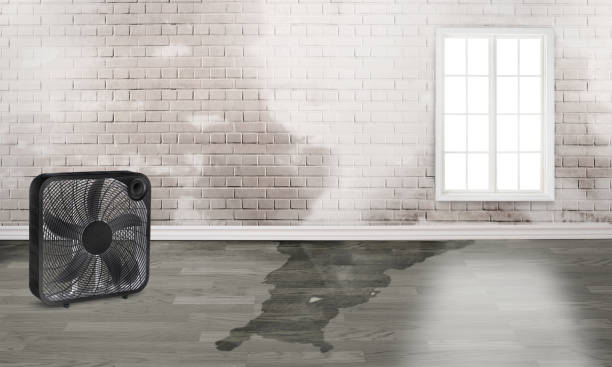  Rosemead, CA Water damage restoration Pros